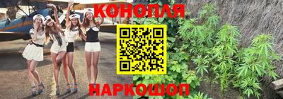 прущая мука Будённовск