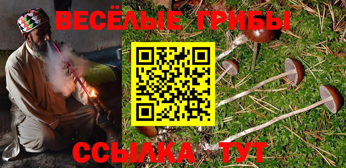 Галлюциногенные грибы MAGIC MUSHROOMS Хасавюрт