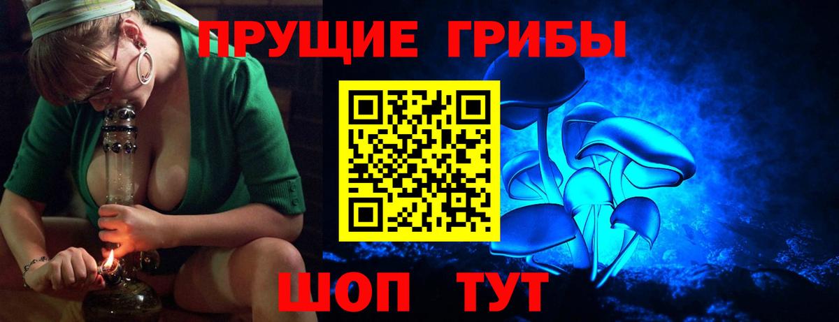 Хасавюрт  Галлюциногенные грибы MAGIC MUSHROOMS  Вход с VPN 